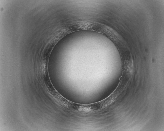 X0000067950602200604171437