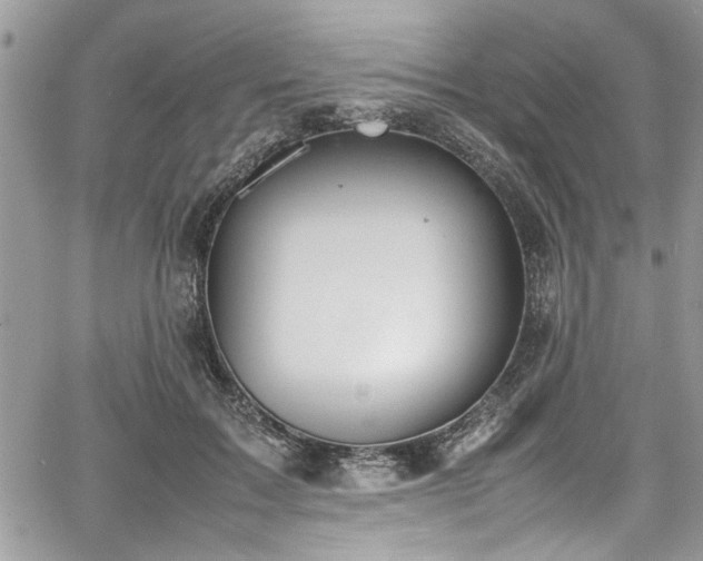 X0000067950603200604171437