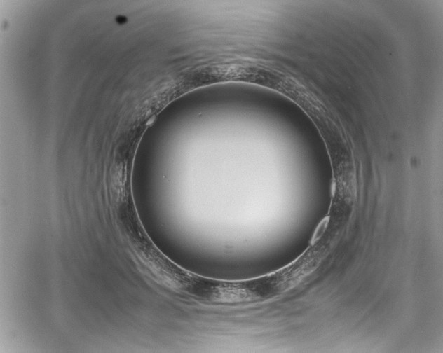 X0000067950605200604171437