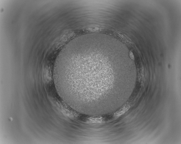 X0000067950606200604171437