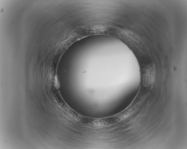 X0000067950608200604171437