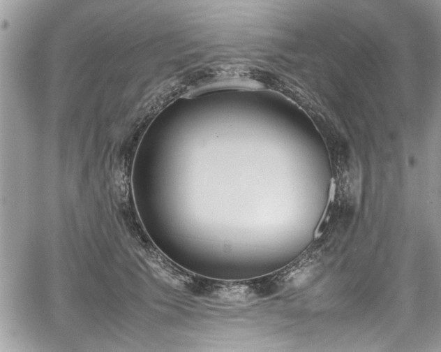 X0000067950609200604171437