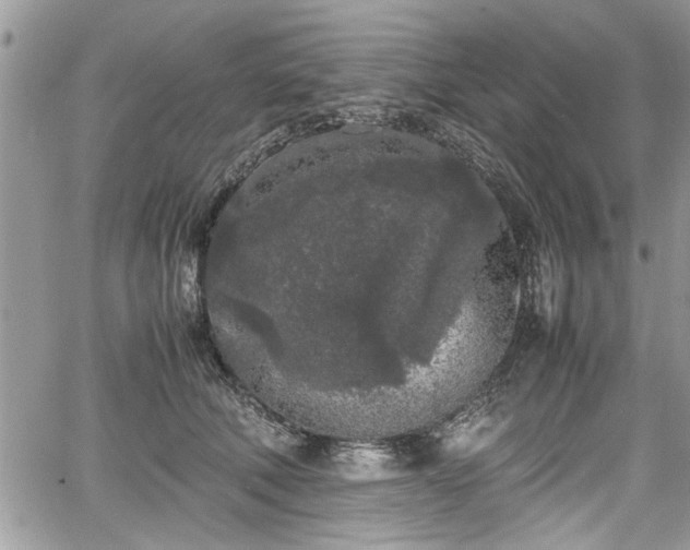 X0000067950610200604171437