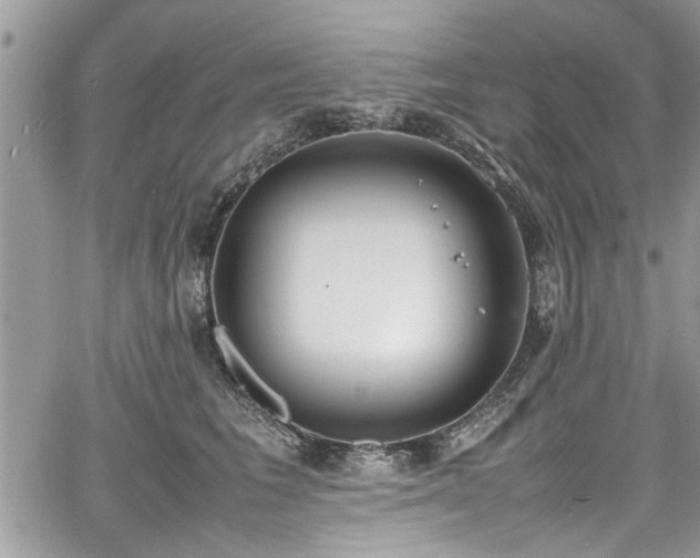 X0000067950613200604171437