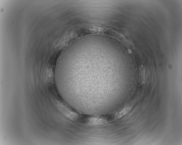 X0000067950614200604171437