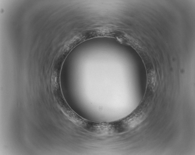 X0000067950615200604171437