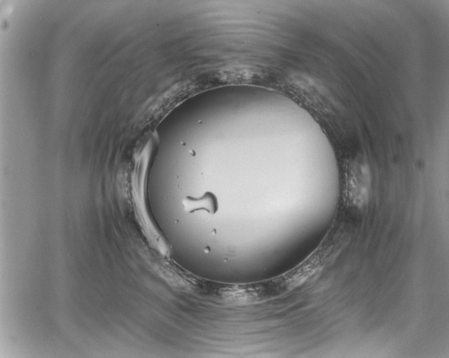 X0000067950616200604171437