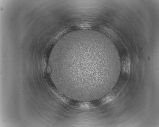 X0000067950618200604171437