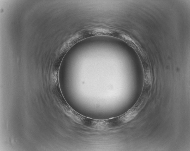 X0000067950621200604171437