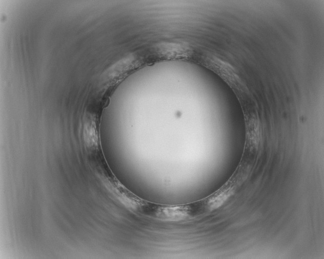 X0000067950622200604171437