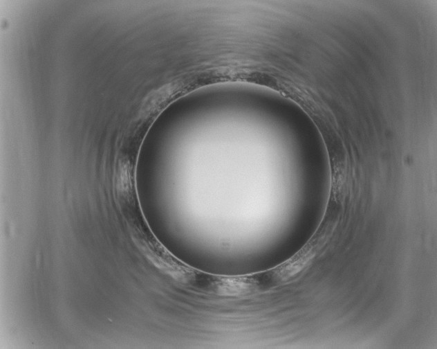 X0000067950623200604171437