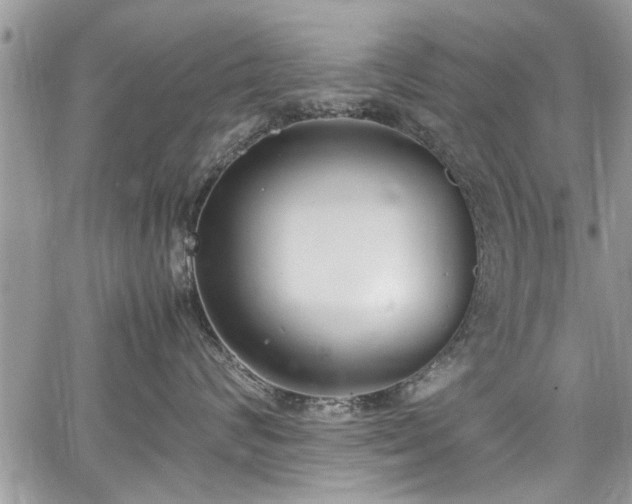 X0000067950624200604171437