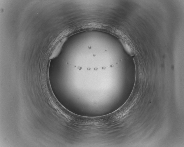 X0000067950625200604171436