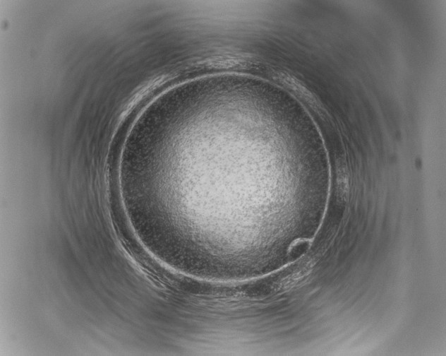 X0000067950626200604171436