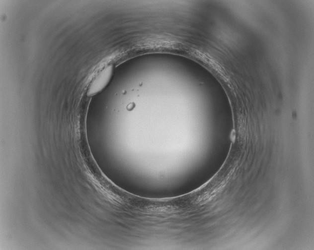 X0000067950629200604171436