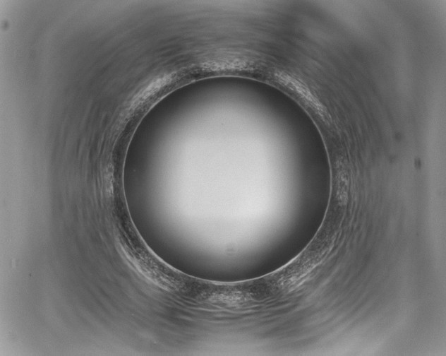 X0000067950631200604171436