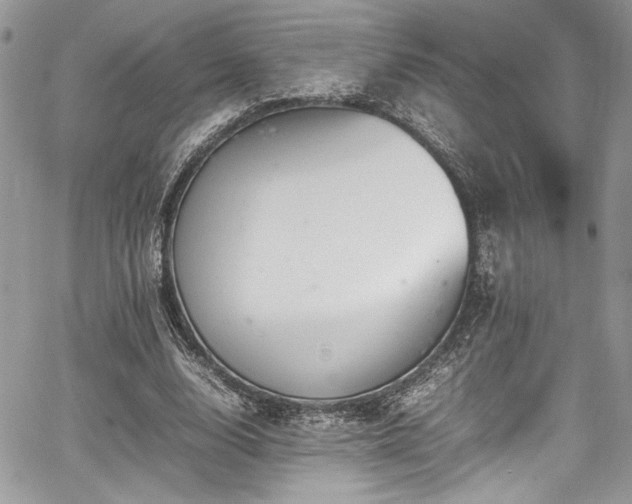 X0000067950632200604171436