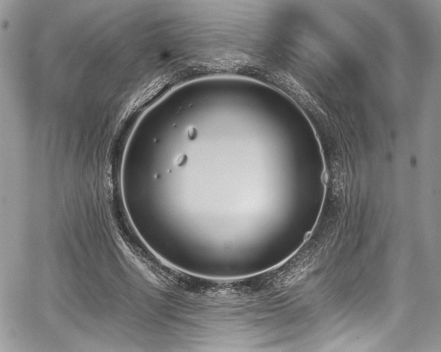 X0000067950634200604171436