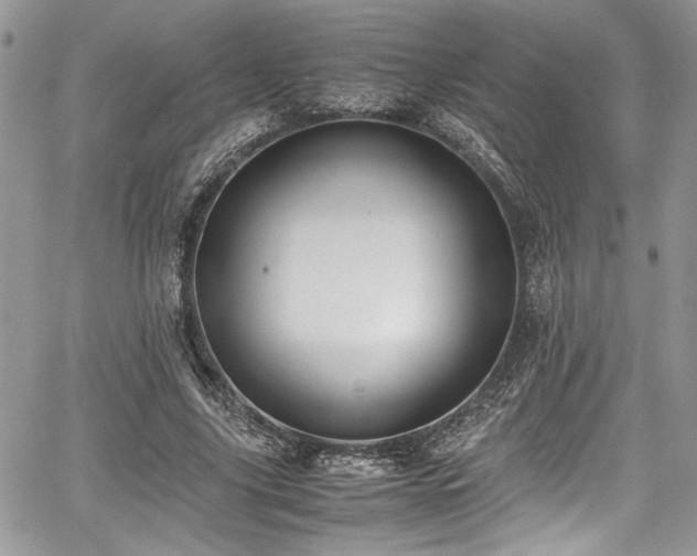 X0000067950635200604171436