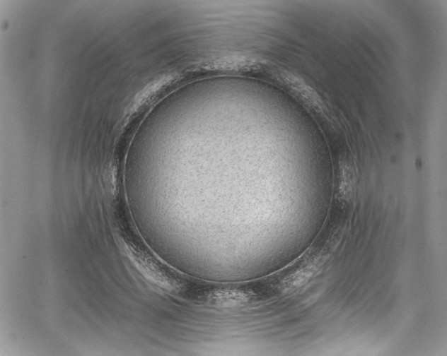 X0000067950636200604171436