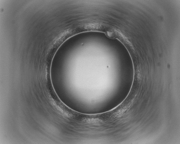 X0000067950637200604171436