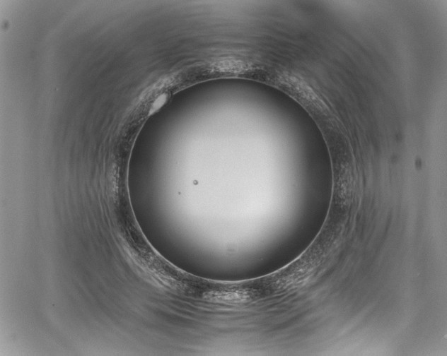 X0000067950639200604171436