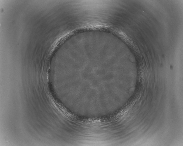 X0000067950640200604171436