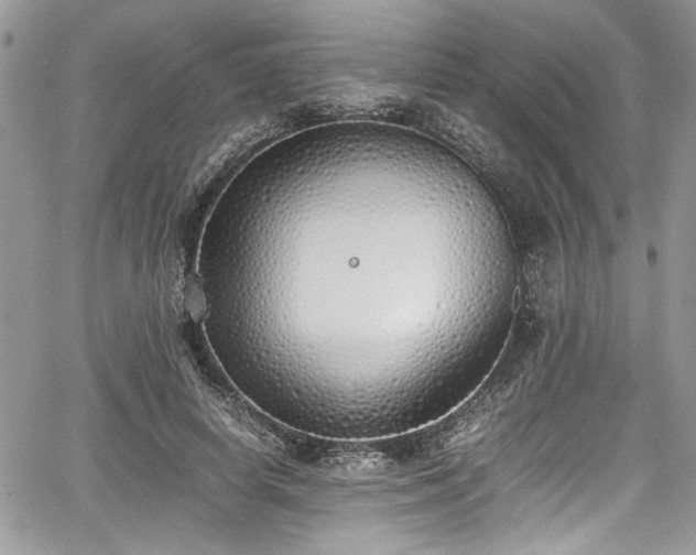 X0000067950642200604171436