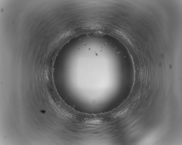 X0000067950643200604171436