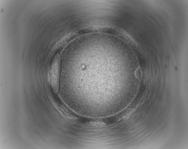 X0000067950644200604171436