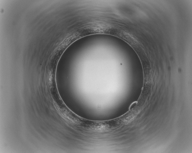 X0000067950646200604171436