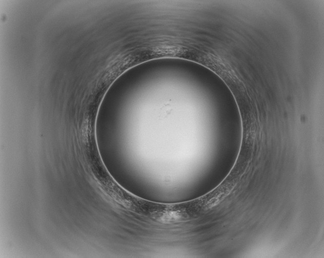 X0000067950647200604171436