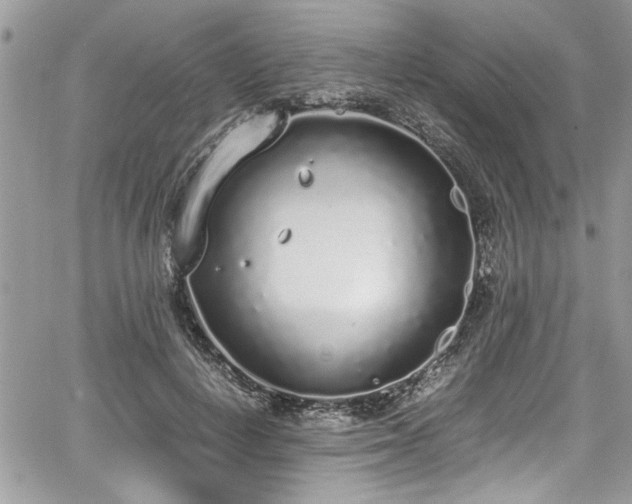 X0000067950648200604171436