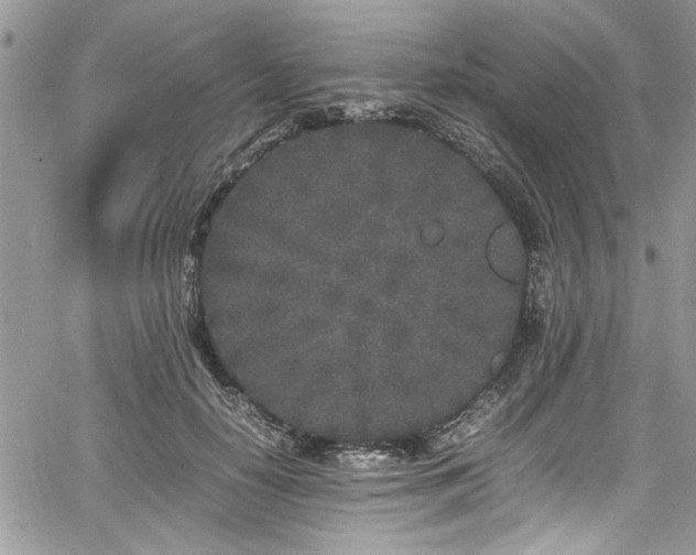 X0000067950650200604171436