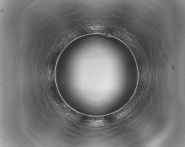 X0000067950651200604171436