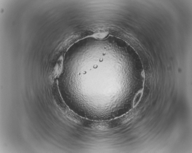 X0000067950652200604171436