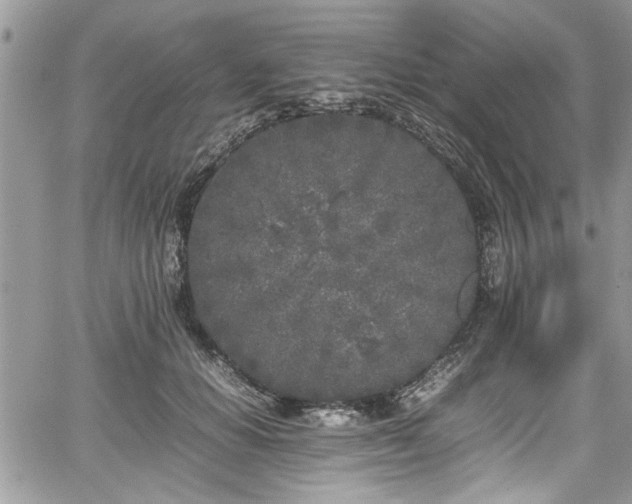 X0000067950654200604171436