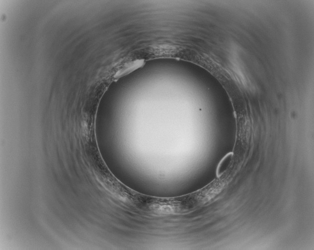 X0000067950655200604171436