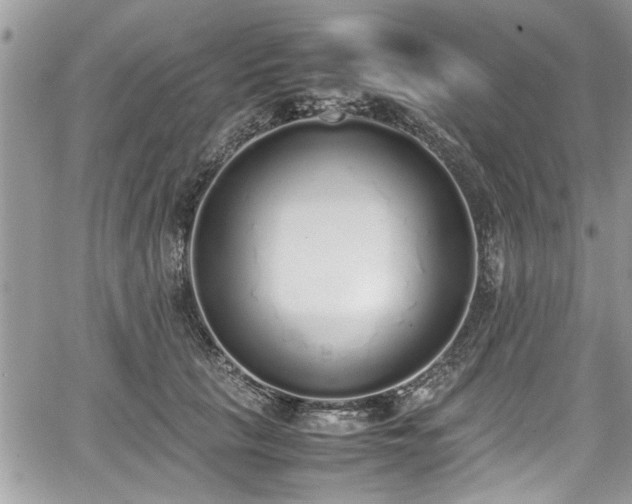 X0000067950657200604171436