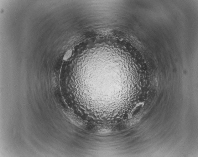 X0000067950658200604171437