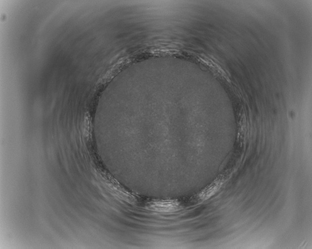 X0000067950659200604171437