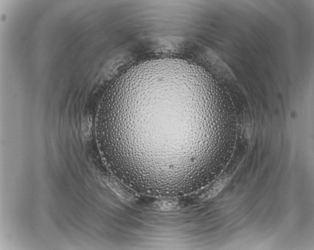 X0000067950660200604171437