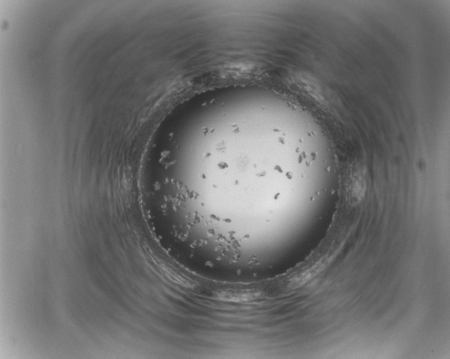 X0000067950661200604171437