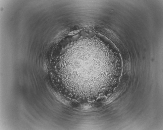 X0000067950662200604171437