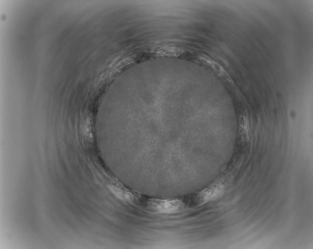 X0000067950663200604171437