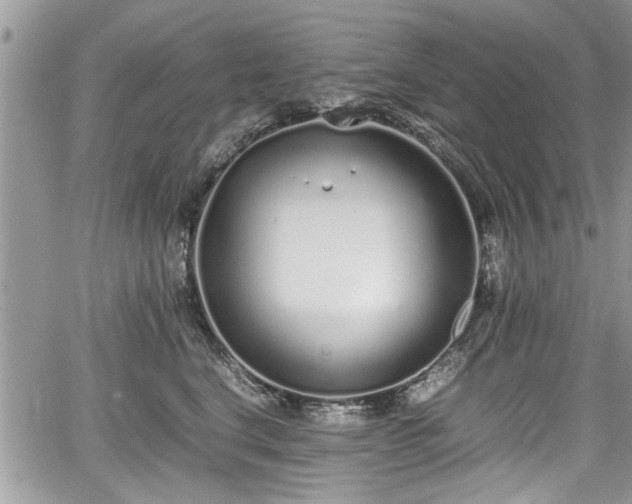 X0000067950664200604171437