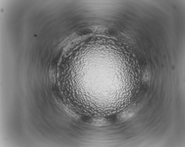 X0000067950666200604171437