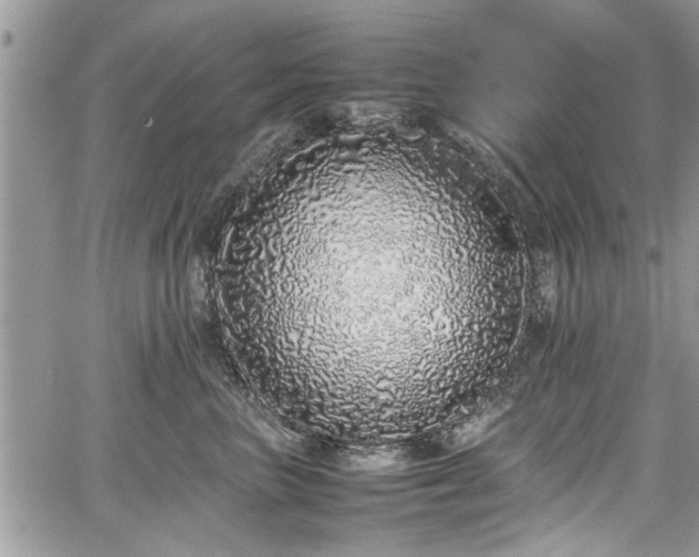 X0000067950667200604171437