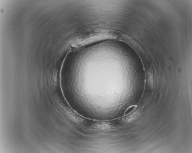 X0000067950668200604171437