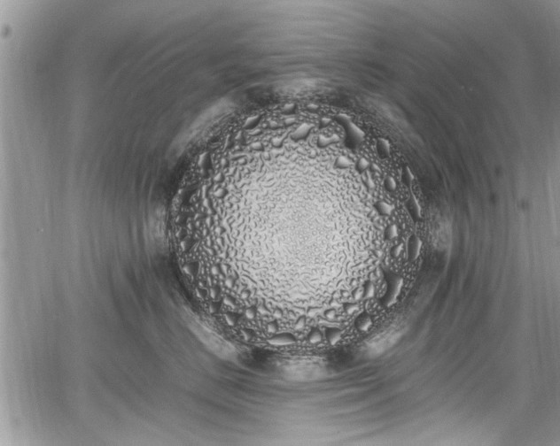 X0000067950670200604171437